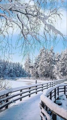 a snow covered park bench sitting next to a snowy field with trees in the background