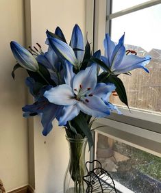 a glass vase with blue flowers in it on a window sill by a window