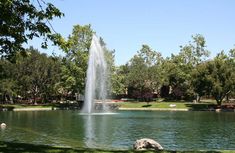 a fountain in the middle of a pond surrounded by green grass and lots of trees