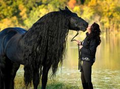 a woman standing next to a black horse in front of a body of water with trees in the background