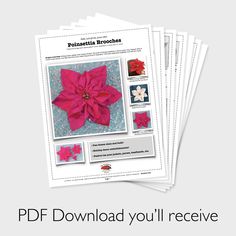 four paper poinsettia brochures with the text,'free pattern and instructions