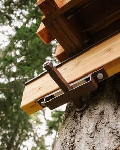 a close up view of the top of a tree trunk with metal brackets on it