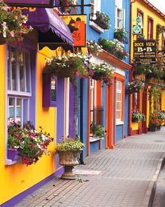 brightly colored buildings with flower boxes on the windows