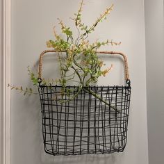 a plant in a wire basket hanging on the wall