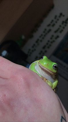 a small green frog sitting on top of a persons hand