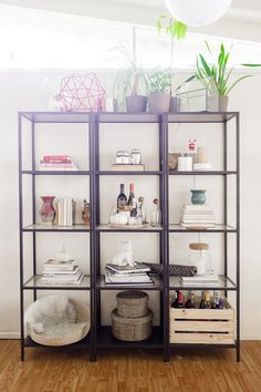 a shelf filled with lots of different types of items on top of wooden flooring