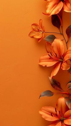 orange flowers on an orange background with space for text