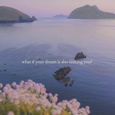 an ocean with some rocks and flowers in the foreground that says, what if your dream is also seeking you?