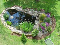 a pond surrounded by rocks and plants in the middle of a lawn with a birdbath