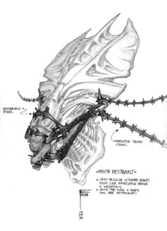 a drawing of an insect with barbed wire around it