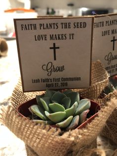 two small pots filled with succulents on top of burlap bags