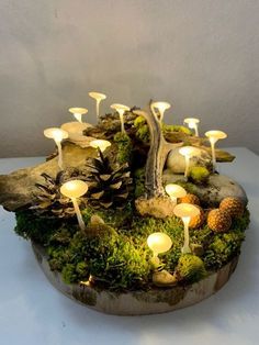 a group of mushrooms sitting on top of a tree stump covered in moss and lit candles