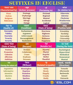 the different types of reflexs in english