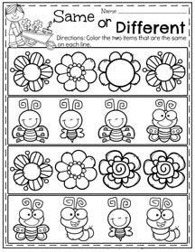 the same pattern worksheet for different types of flowers