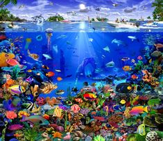 an underwater scene with many different types of animals and fish in the water, including dolphins