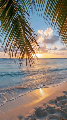 the sun is setting over the ocean with palm trees on the beach and waves coming in