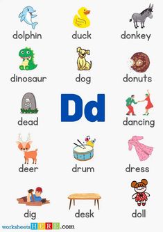 a poster with words and pictures on it that say d is for dolchin