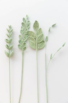 three green plants are arranged on a white surface