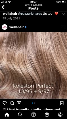 Beige Blonde Formula Wella, 8n Hair Color Blondes, Highlight Foil Placement, Honey Blonde Hair Formula, Wella Color Formulas Blondes, 8n Hair Color, Wella Toner Chart, Beige Blonde Hair Color, Wella Toner