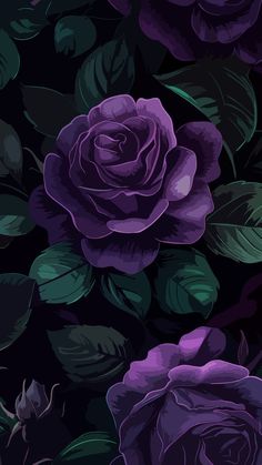 purple roses with green leaves on a black background, seamless and textured for wallpaper