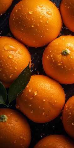 many oranges with water droplets on them