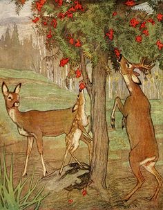 two deer standing next to each other in front of a tree with red berries on it