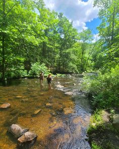 two people are wading in the water near some rocks and green trees on a sunny day