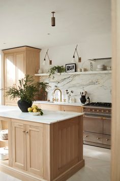 a kitchen with marble counter tops and wooden cabinets, along with potted plants on the island