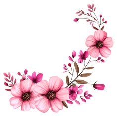 pink flowers and leaves on a white background