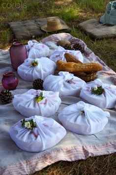 there are many bags on the blanket with pine cones and other items around it,