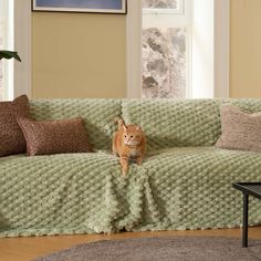 an orange cat sitting on top of a green couch