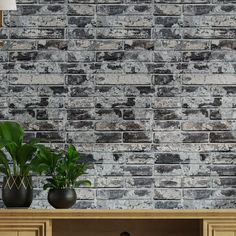 an old brick wall with potted plants on the side table in front of it