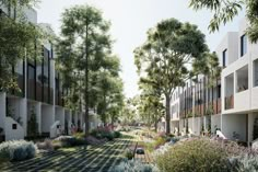 an artist's impression of a courtyard with trees and plants