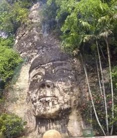 a large stone head in the middle of trees and bushes next to a wall with plants growing on it