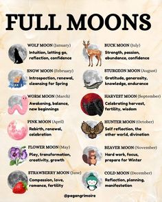 the full moon chart is shown with different symbols and words on it's side