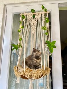 a cat is sitting in a macrame hammock hanging from a window