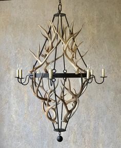 a chandelier with antlers hanging from it