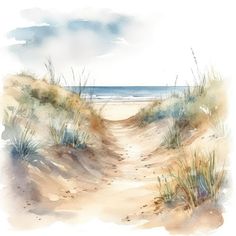 a watercolor painting of a path to the beach with grass and sea oats