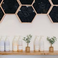 the shelves are lined up with bottles and vases on them, along with flowers