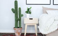 a cactus in a pot next to a nightstand with a blanket on it and a rug