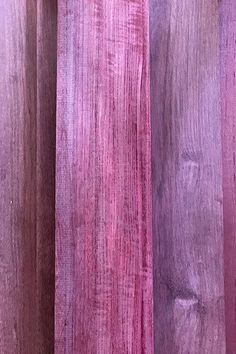 an orange cat sitting in between two purple curtains