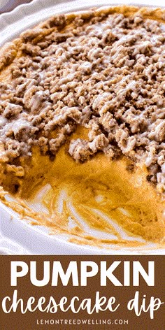 this pumpkin cheesecake dip is the perfect dessert for fall and it's so good to eat