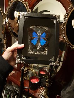 a person holding up a blue butterfly in front of a mirror with other items around it