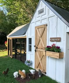 several chickens are outside in the grass near a shed with doors and windows on it