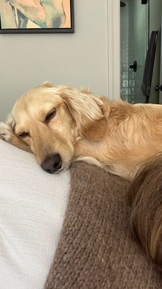 a dog laying on top of a bed next to a painting