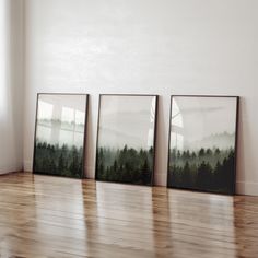 three framed pictures sitting on top of a wooden floor