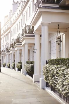 a row of white buildings with columns and bushes on the sidewalk in front of them