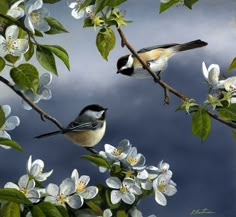 two birds perched on branches with flowers in the foreground and an image of clouds in the background