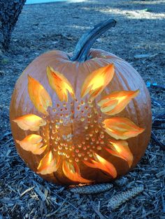 a carved pumpkin sitting on the ground