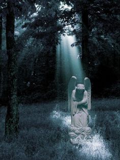 an angel statue sitting in the middle of a forest with light streaming through it's branches